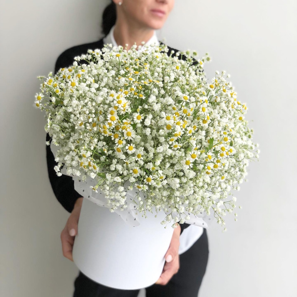 КОРОБКА С РОМАШКАМИ И ГИПСОФИЛОЙ